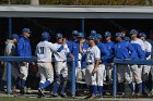 Baseball vs MIT  Wheaton College Baseball vs MIT in the  NEWMAC Championship game. - (Photo by Keith Nordstrom) : Wheaton, baseball, NEWMAC